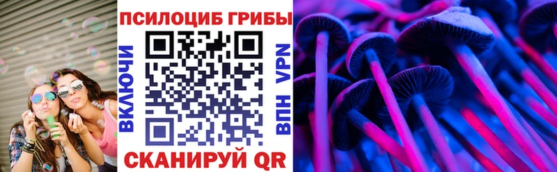 ссылка на мегу ССЫЛКА  сайты даркнета телеграм  Чистополь  Галлюциногенные грибы Magic Shrooms  где можно купить наркотик 
