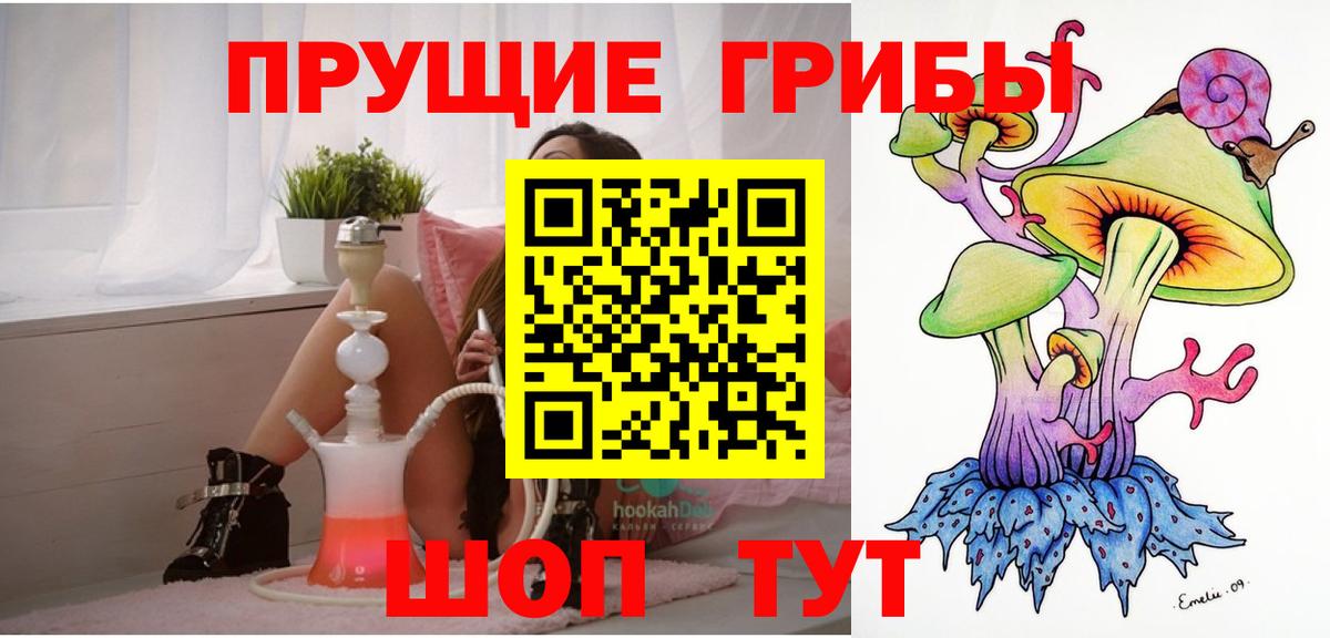 Чистополь  Псилоцибиновые грибы ЛСД  даркнет сайт  Вход с VPN 