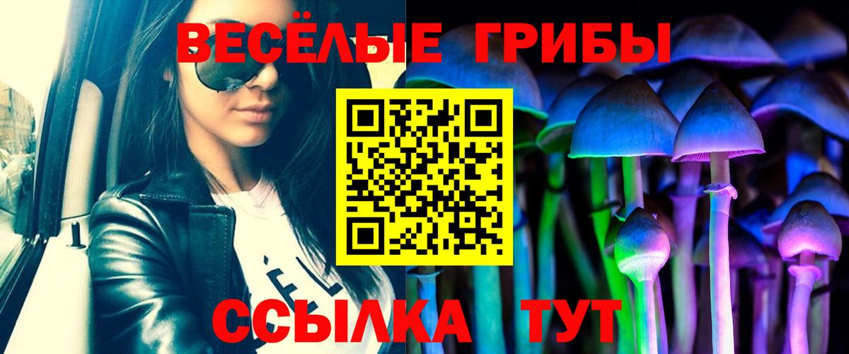 Галлюциногенные грибы мицелий Чистополь